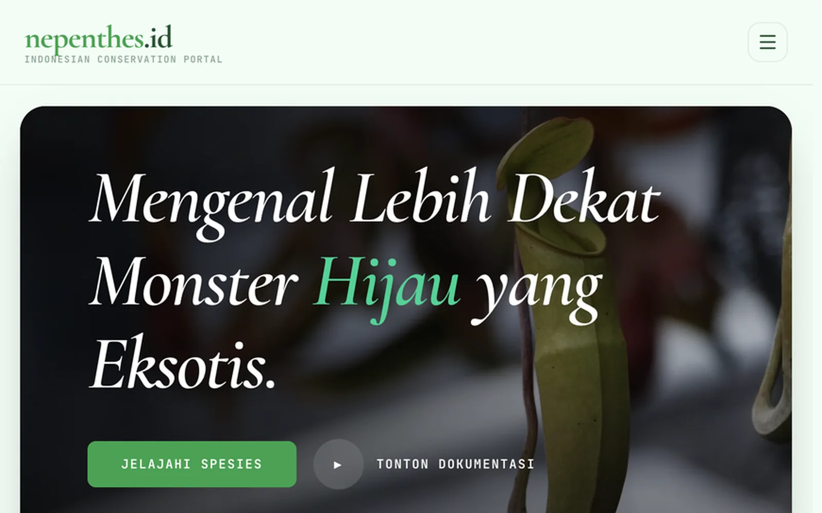 Screenshot nepenthes.id